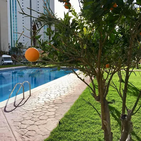 Hannibal La Cala Finestrat Apartment *