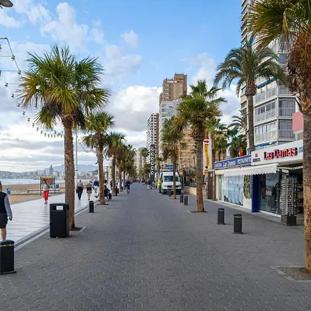 Damas 10c Benidorm