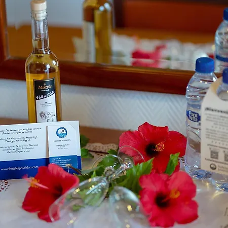 Poseidon Aparthotel 3*