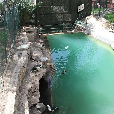 Bonito Piso Levante Benidorm