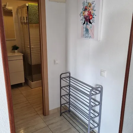 Nuevo En