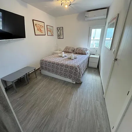 Penthouse Giner Centro Playa By Trg Apartman *