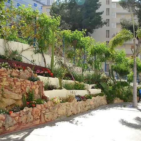 Edifico Capri By Beni4u