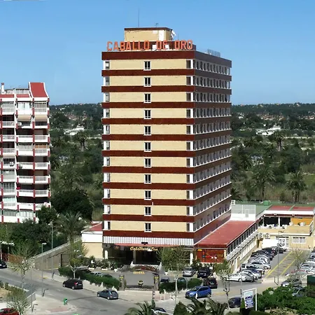 Caballo De Oro Hotel 3*