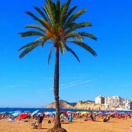 Apartment First Line Benidorm