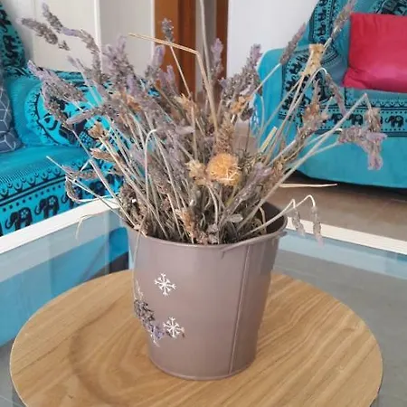 Apartamento El Pato Playa Benidorm