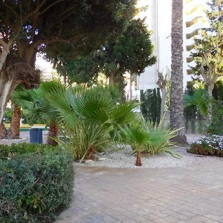 Gemelos-2 By Interhome Apartment Benidorm